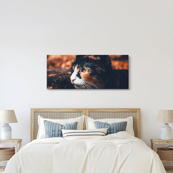 Tablou - Privirea pisicii (120x50 cm)