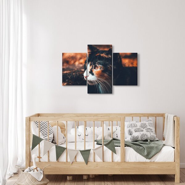 Tablou - Privirea pisicii (90x60 cm)