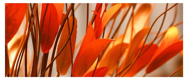 Tablou - Frunze înflorite (120x50 cm)
