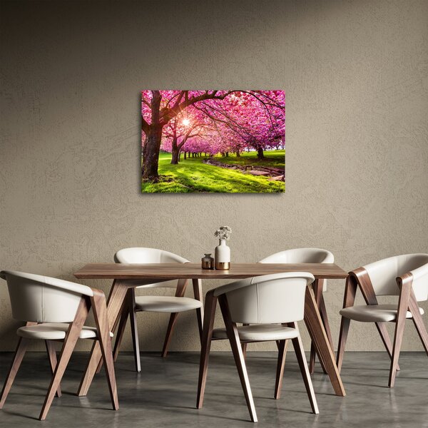 Tablou - Cireși înfloriți, Hurd Park, Dover, New Jersey (70x50 cm)