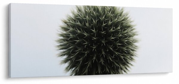 Tablou - Sfere de flori (120x50 cm)