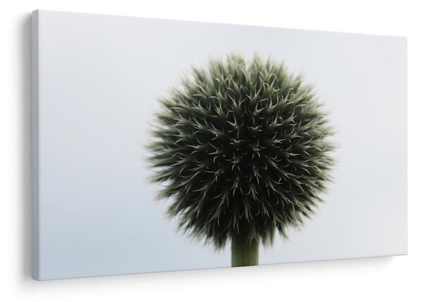 Tablou - Sfere de flori (90x60 cm)