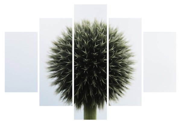 Tablou - Sfere de flori (150x105 cm)