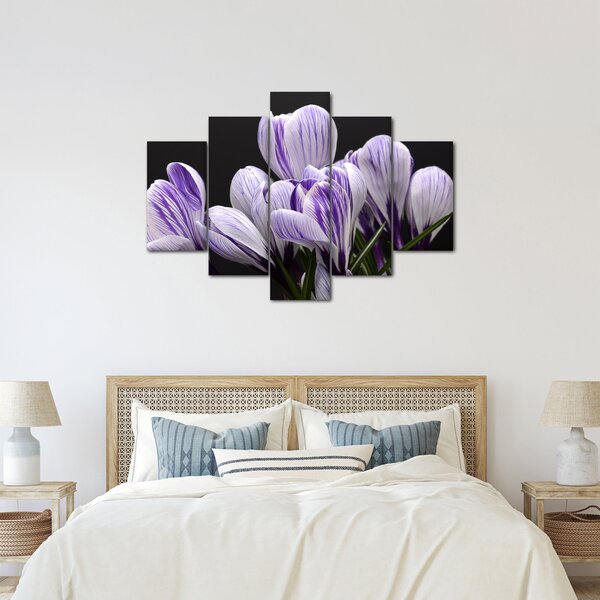 Tablou - Crocus violet (150x105 cm)