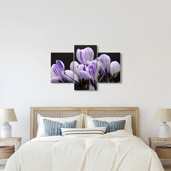 Tablou - Crocus violet (90x60 cm)