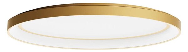 Redo 01-3807 - Plafonieră LED dimabilă NOBU LED/60W/230V aurie