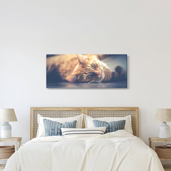 Tablou - Pisici pe podea (120x50 cm)
