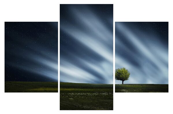 Tablou -Aurora boreală (90x60 cm)
