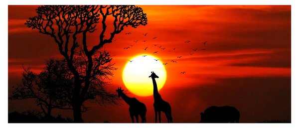 Tablou - Siluete animalelor la apus de soare (120x50 cm)