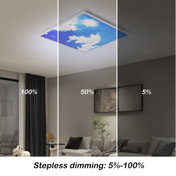 Brilagi-LED SLIMFRAME SKY – corp de iluminat LED dimabil, 58W, 230V, 60x60 cm, argintiu/albastru + telecomandă