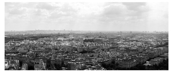 Tablou - Acoperișuri clădirilor din Paris (120x50 cm)