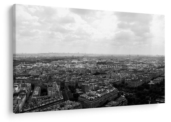 Tablou - Acoperișuri clădirilor din Paris (90x60 cm)