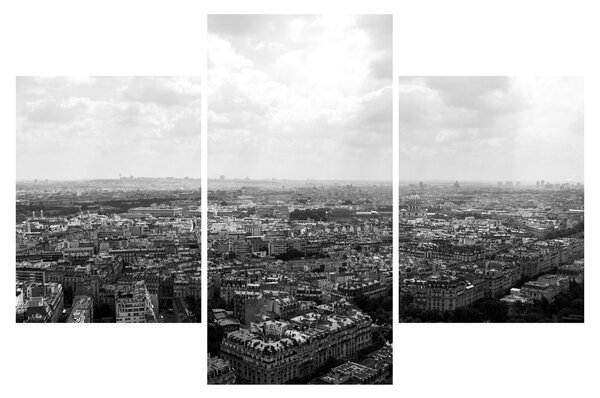 Tablou - Acoperișuri clădirilor din Paris (90x60 cm)
