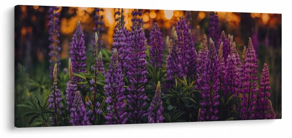 Tablou - Flori de lupin (120x50 cm)