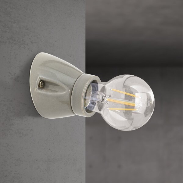 Orion - Aplica de perete FROST 1xE27/60W/230V gri