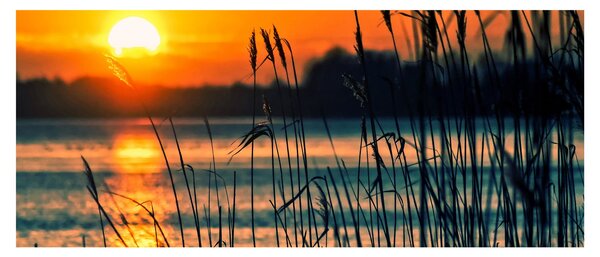 Tablou - Apus de soare la lac (120x50 cm)