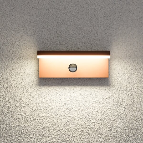 Brilagi-LED Aplică de perete pentru exterior cu senzor TESSI LED/10W/230V, maro, IP54