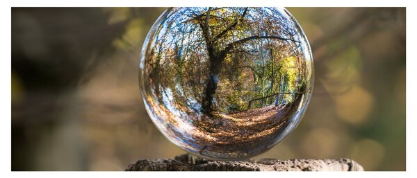 Tablou - Reflecție intr-o sferă transparentă (120x50 cm)