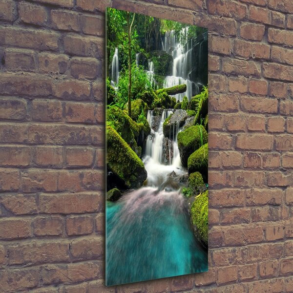 Tablou Printat Pe Sticlă Cascada din junglă