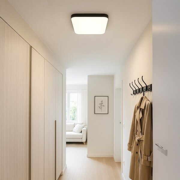 Plafonieră LED NEMO, 36 W, 230 V, 50 x 50 cm, neagră