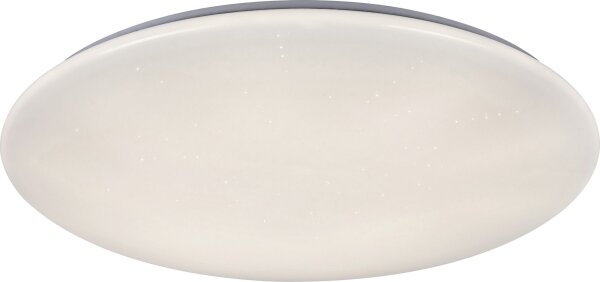 Rabalux 5445 DANNY - Plafonieră LED reglabilă, 36W/230V + telecomandă