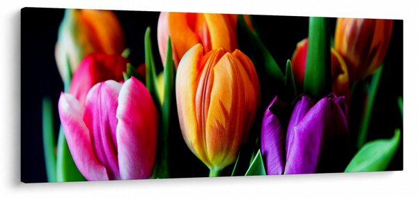Tablou -Lalele pe fond negru (120x50 cm)