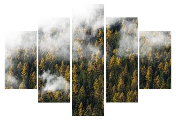 Tablou - Pădure în nori (150x105 cm)