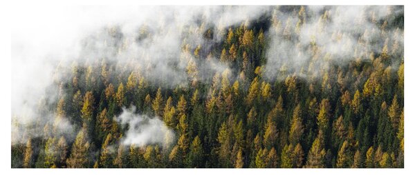 Tablou - Pădure în nori (120x50 cm)