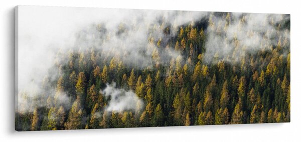 Tablou - Pădure în nori (120x50 cm)