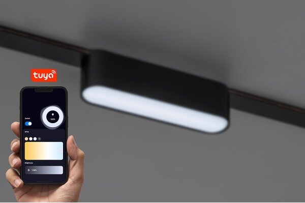 Plafonieră LED dimabilă pentru sistem de șină monofazic Rabalux 70122 LiTrack 6W/24V 11,5 cm