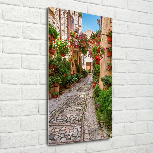 Fotografie imprimată pe sticlă Umbria Italia
