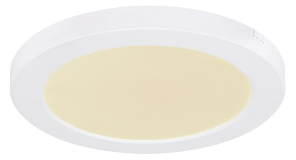 Plafonieră LED Globo 12379-18W LASSE LED/18W/230V
