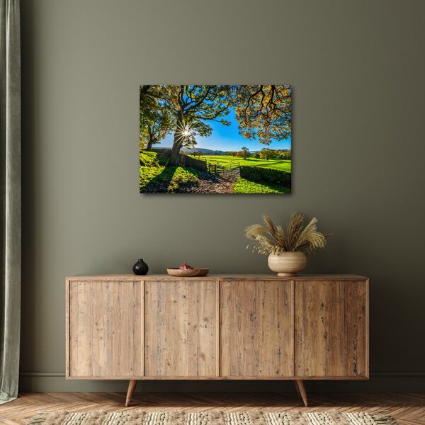 Tablou Privire la câmp (70x50 cm)