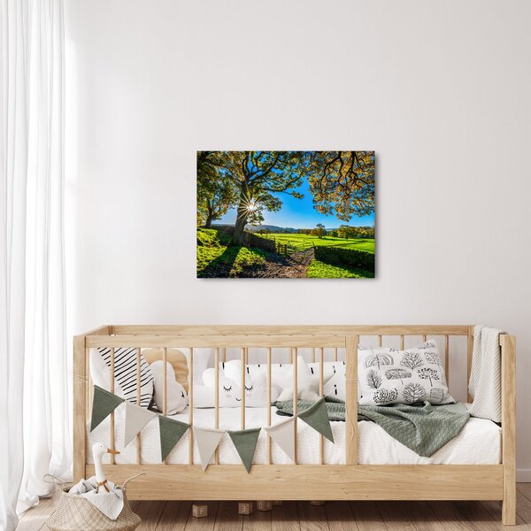 Tablou Privire la câmp (70x50 cm)