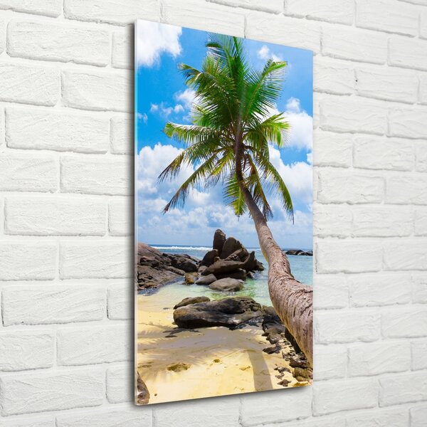 Fotografie imprimată pe sticlă plaja tropicala