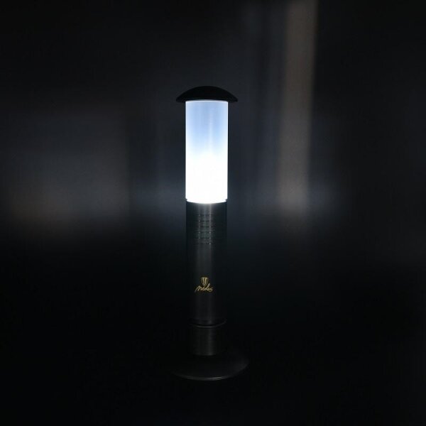 LED Lampă portabilă 2xLED/1xD IPX4
