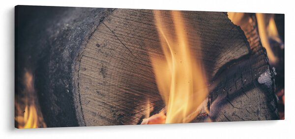 Tablou - Lemn în foc (120x50 cm)