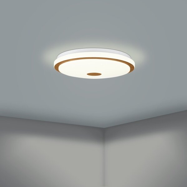 Plafonieră LED dimabilă LANCIANO LED/24W/230V Eglo 900598 + telecomandă