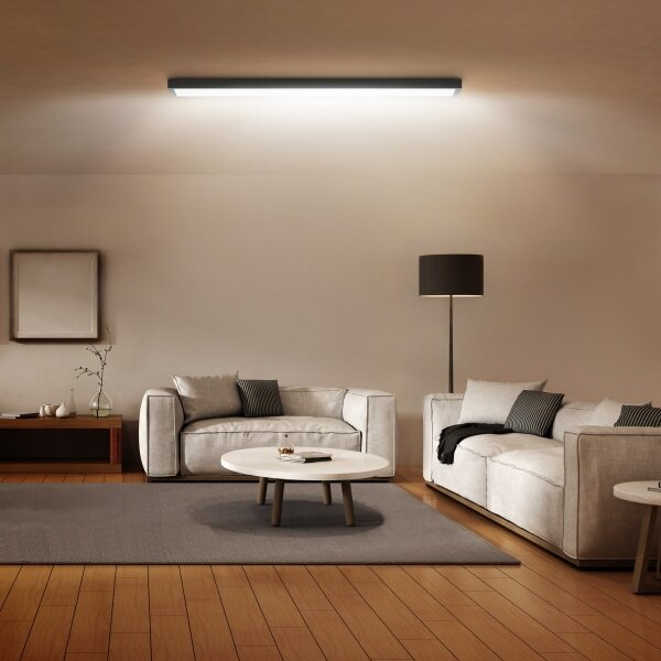 Plafonieră LED pentru baie FRAME LED/40W/230V 120x30 cm IP44 negru Brilagi