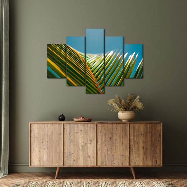 Tablou - Frunze de palmier (150x105 cm)