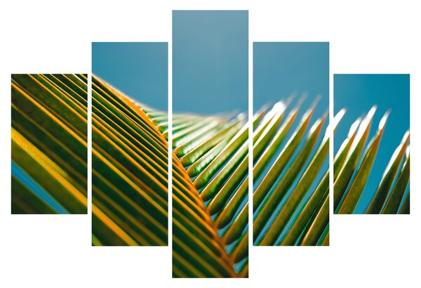 Tablou - Frunze de palmier (150x105 cm)