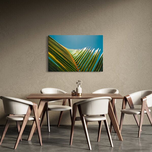 Tablou - Frunze de palmier (90x60 cm)