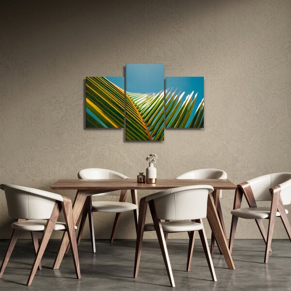 Tablou - Frunze de palmier (90x60 cm)