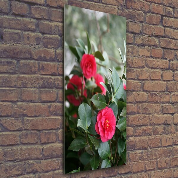 Tablou Printat Pe Sticlă camelia