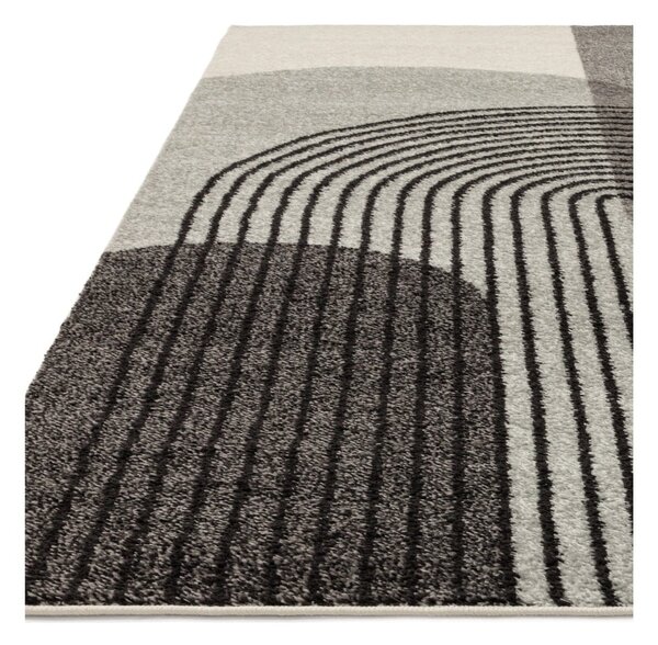 Covor gri 170x120 cm Muse - Asiatic Carpets