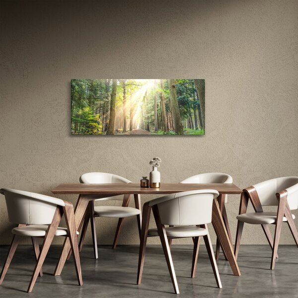 Tablou - Poteci în pădure (120x50 cm)