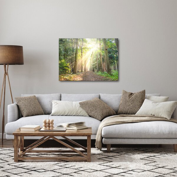 Tablou - Poteci în pădure (70x50 cm)