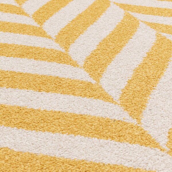 Covor galben 240x66 cm Muse - Asiatic Carpets