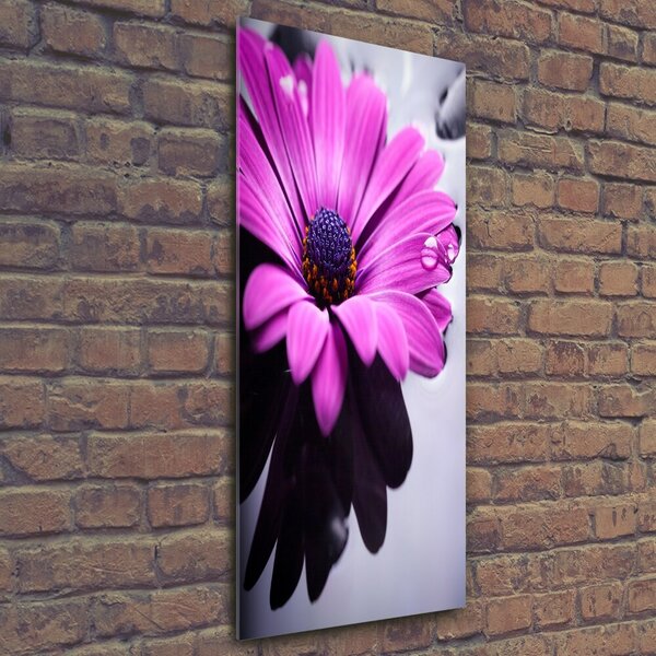 Fotografie imprimată pe sticlă gerbera roz