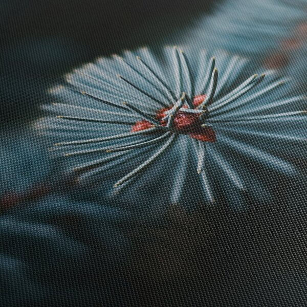 Tablou -Crenguțe ale unui conifer (70x50 cm)